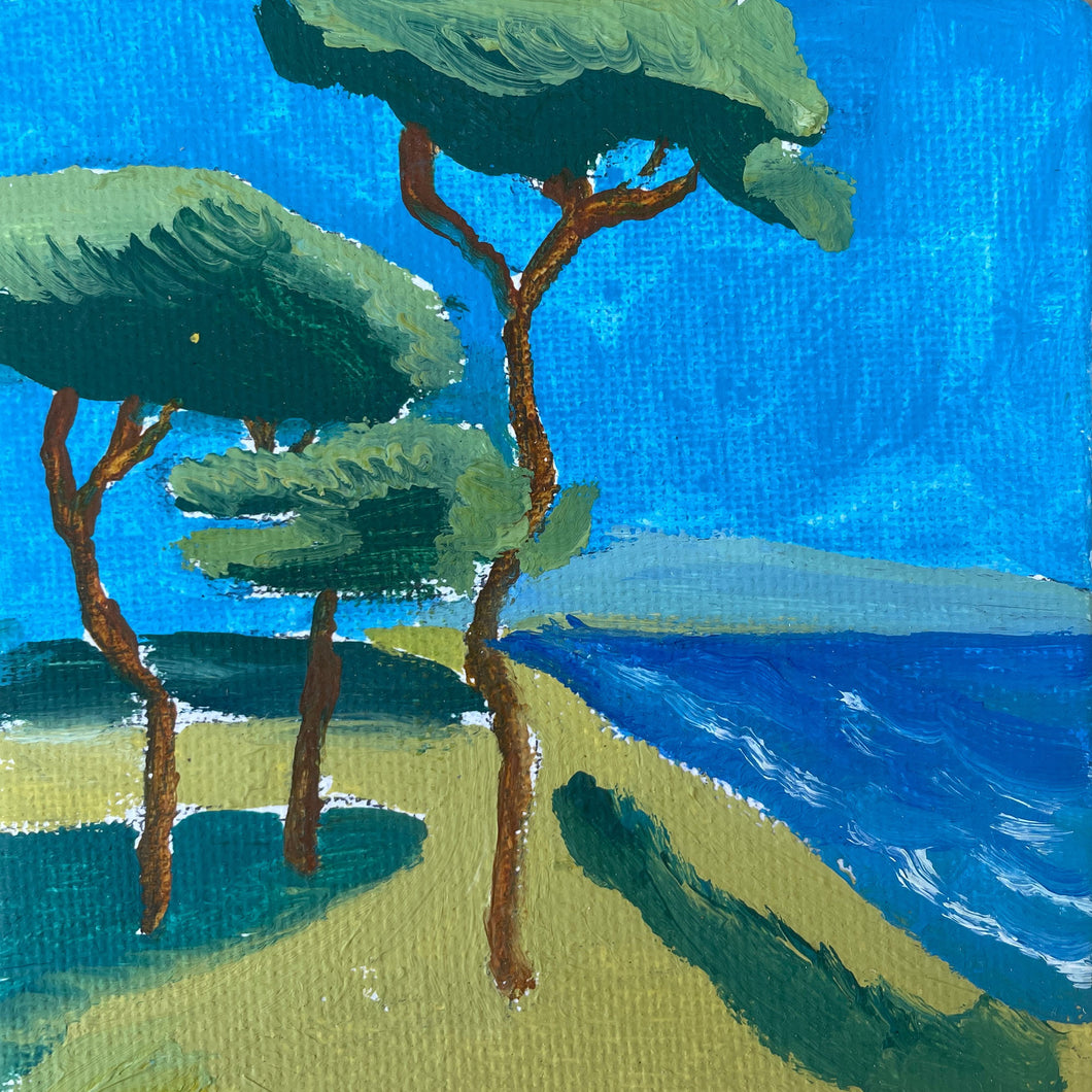 Pines on the Coast • 3.9