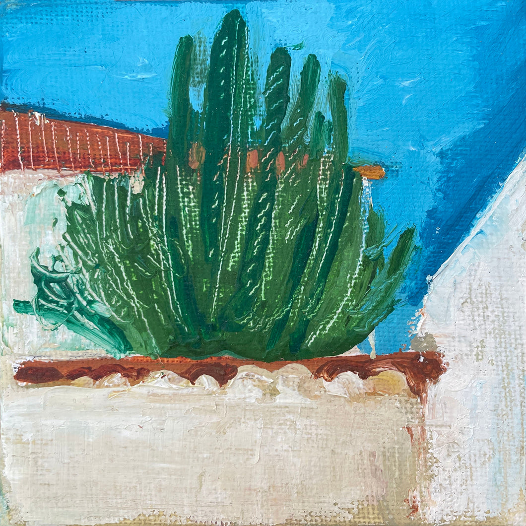 Spanish Cactus   • 3.9
