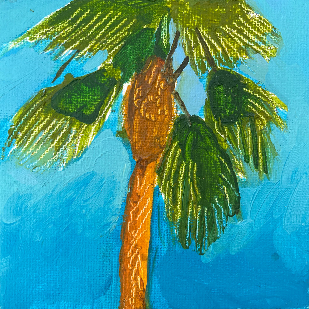 Spanish Palm  • 3.9