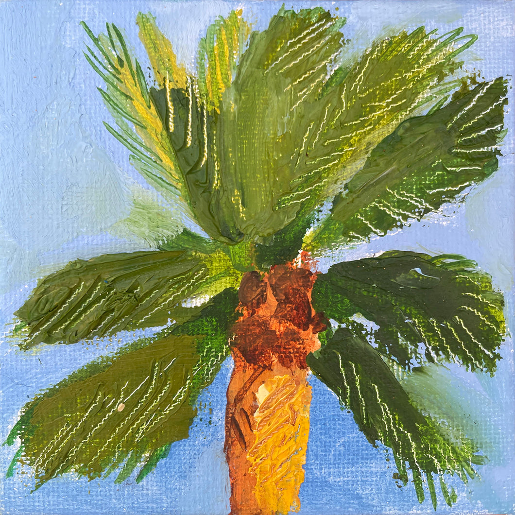Palm Tree • 3.9